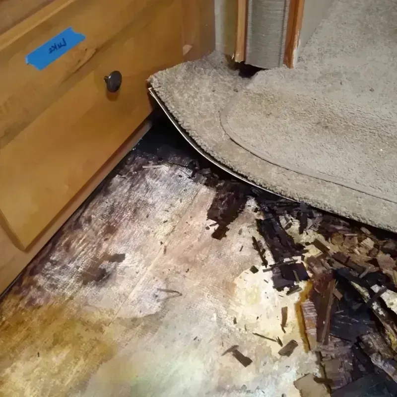 Wood Floor Water Damage in Ashland, IL